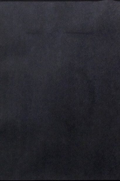 Shanta Rao, Sans titre, 2008-2015, sérigraphie sur papier 75 x 59,5 cm © Courtesy de l'artiste et Galerie Nathalie Obadia Paris / Bruxelles
