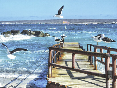 Caleta de Punta de Choros en la Región de Coquimbo, Chile