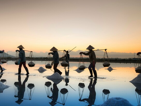 Salt harvesters carrying baskets across shallow waters at sunrise, representing the dignity and value of labor in sustaining society
