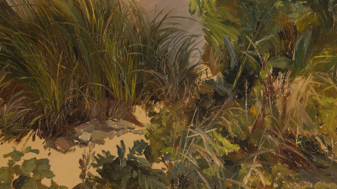 Fragment Natur. Courtesy of Galerie Knoell