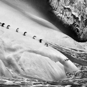 Sebastião Salgado, Dalla serie "Ghiacciai", 1995 - 2020. Courtesy of Mart