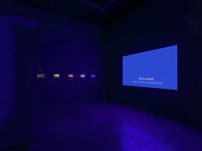Agnieszka Kurant, Recursion, exhibition view. Courtesy of Marian Goodman Gallery