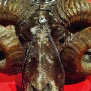 Medicine Man. Courtesy of Wellcome Collection 