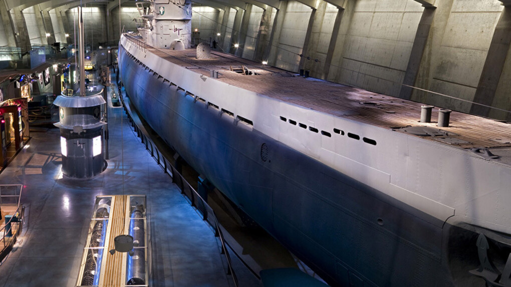 Elusive. Deadly.Captured. Courtesy of Museum of Science and Industry