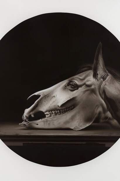 Hynek Martinec. Courtesy of National Gallery