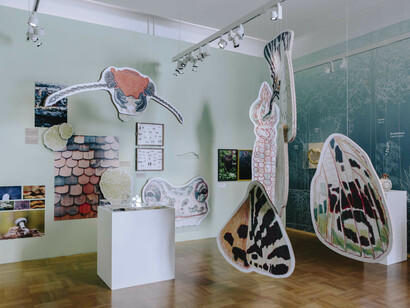 Verschiedene Künstler, Habitat Graz, Ausstellungsansicht. Mit freundlicher Genehmigung des Graz Museums