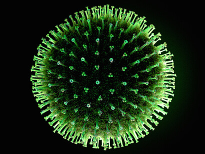 Virus