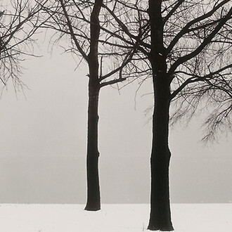 Harry Callahan, American, 1912–1999, Chicago, 1950