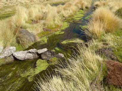 El río Silala es poco más que un pequeño cauce fluvial