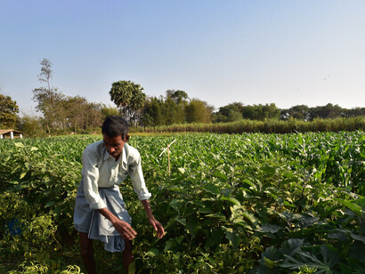 Kedia (Bihar) farmer with organic crops - it is not clear if budget focus on organic farming will benefit small and marginal farmers © Ashish Kothari