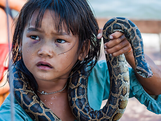 In Lào Cai, Vietnam, a child helps harvest rice in the fields