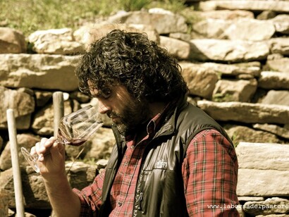 Il vigneron  Daniele Coutandin
