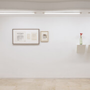 Varios artistas, La paradoja del no, vista de exhibición. Cortesía del ADN Galeria. Foto por Roberto Ruiz