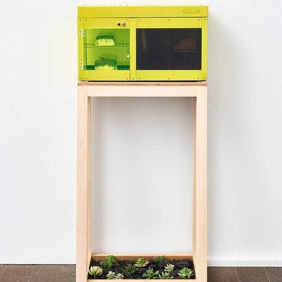 Specters of Disruption. Courtesy of De Young Museum