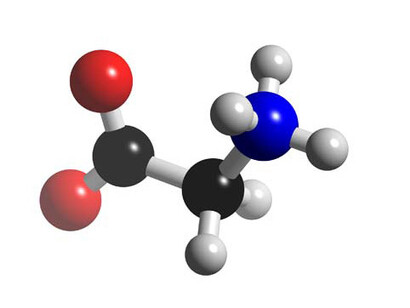 La información genética determina qué proteínas tiene una célula, un tejido y un organismo