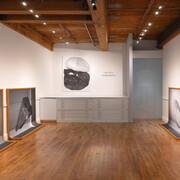 Liam Davis, Living with it, exhibition view. Courtesy of Goya Contemporary Gallery 