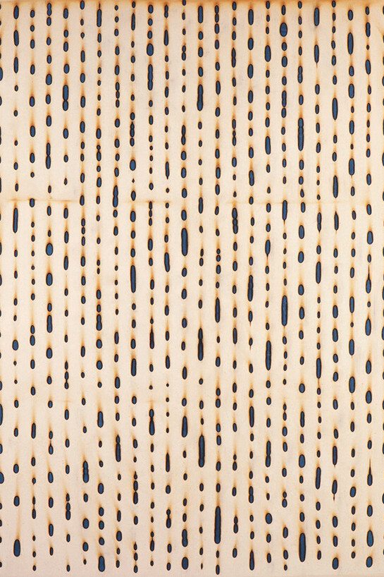 Kathleen Kucka, Burn Thru 2-4-13 11:00, 2013, acrylic and burns on canvas/velvet, 70 x 50 in