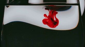Macchia di rosso su sfondo bianco e nero. Analisi del colore rosso nelle opere di Berni e Grela: significati e influenze