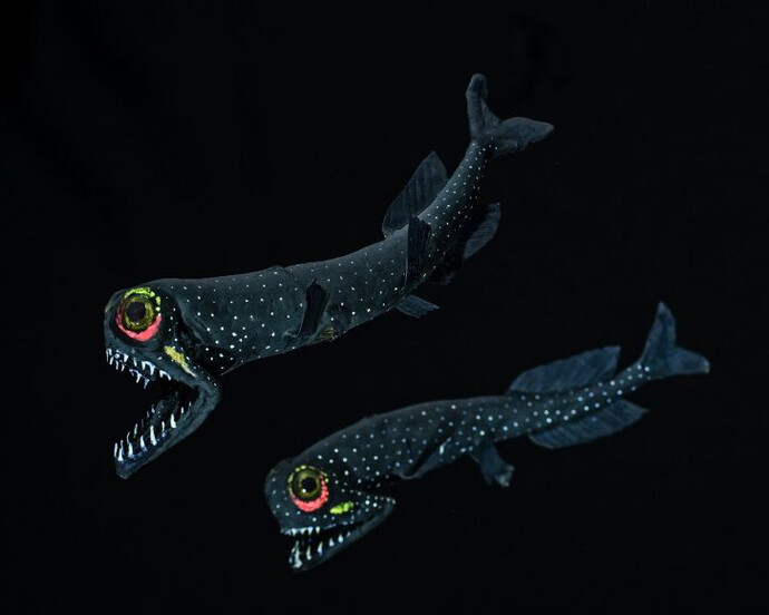 The world of Oceans. Courtesy of Haus der Natur 