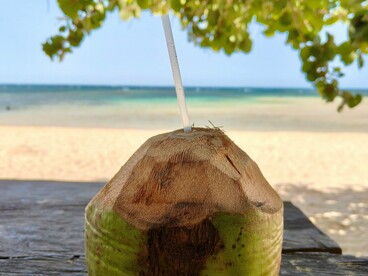 Um coco verde servido à beira-mar ocupa o primeiro plano da imagem, enquanto a praia e o oceano aparecem ao fundo. Os pequenos momentos de descanso também fazem parte da experiência de desacelerar e descobrir novos ritmos durante a viagem