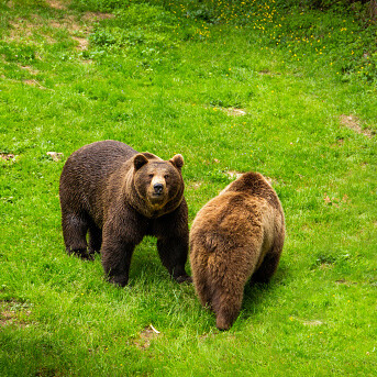 Ricostruire l’equilibrio degli ecosistemi è la più grande sfida che oggi gli esseri umani devono affrontare