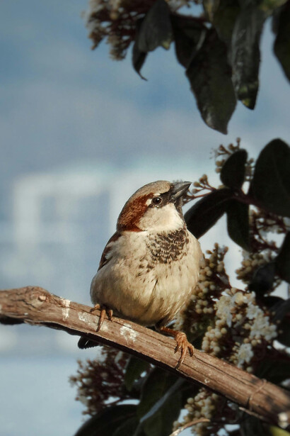 Estudios han demostrado que personas que pasan varios días en la naturaleza mejoran significativamente sus habilidades de resolución de problemas