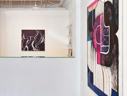 Various artists, The shape of looking, exhibition view. Courtesy of Haines Gallery