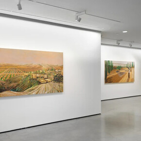 Cheryl Molnar, The overview, exhibition view. Courtesy of C24 Gallery