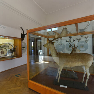 Game Keeping. Courtesy of National Museum of Agriculture