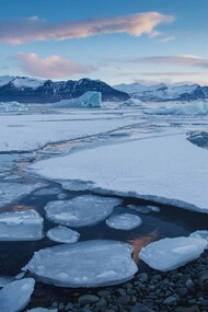 The climate catastrophe is one of the four distinct paths to imminent (that is, within five years) human extinction