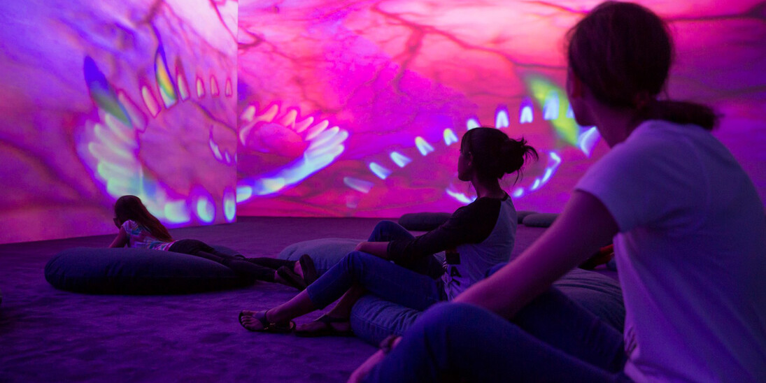 Pipilotti Rist. Courtesy of MFAH