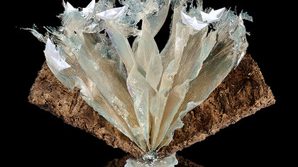 Aqua, 2010. Resina, inchiostro, corteccia, carta. Collezione privata.