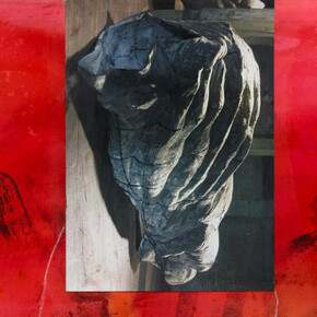 Fearless. Courtesy of Art Gallery of NSW