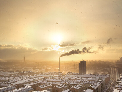 The Earth Pledge: I will not buy rainforest timber