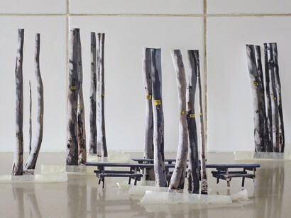 Vera Vladimirsky, Shells #1, 2015, inkjet print, 47 × 72 cm