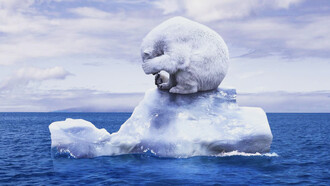Ecologists, activists and scientists are not satisfied with the current situation