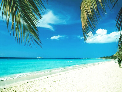 Jamaican beach with palm trees. A tranquil photograph of a white sand beach in Jamaica, captured in daylight beneath a deep blue sky