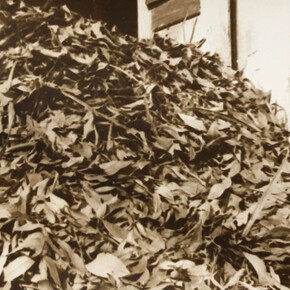 Jose Manuel Fors. Courtesy of Pan American Art Projects