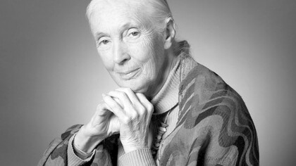 Jane Goodall