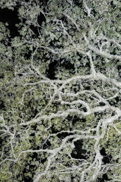 Santeri Tuori. Courtesy of Purdy Hicks Gallery