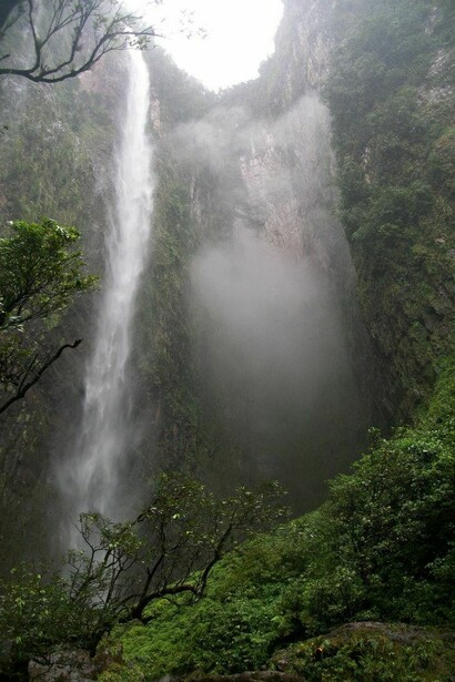 Situado en el estado Bolívar, el Parque Nacional Canaima no solo es una de las zonas con mayor biodiversidad del mundo, sino que cuenta con estampas de belleza incomparable