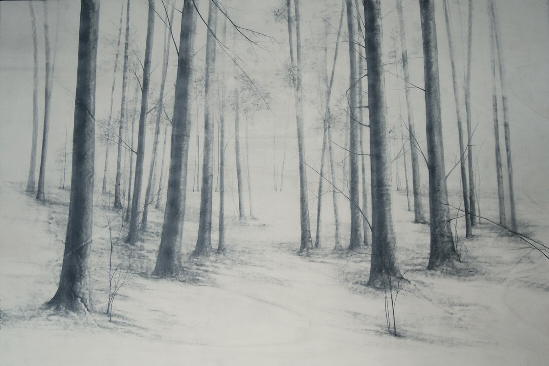 VICARI MARIKA, Tempo degli alberi, 2015, Grafite su tavola, 120x180 cm 