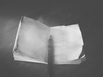 Livro queimado. Por trás de qualquer coisa que eu faça existe a sombra do que escrevo, a sorte de quem vive virado para o lado oposto. As pegadas nada dizem sobre os passos, apenas a imagem fugaz do corpo a evadir-se da responsabilidade, uma vida em espera, umas vezes em silêncio, outras em sobressalto, na maior parte uma sombra leve a invadir o peito, um momento em que somos outros, inteiros