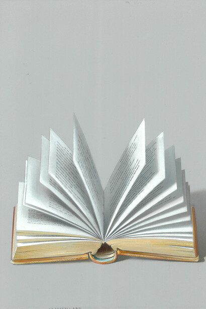 Antonio Matallana, Livre ouvert IV, 2025. Cortesia di Galleria Forni