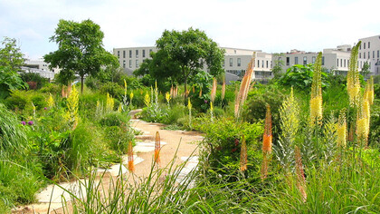 Immagine da Gilles Clément, Giardini, paesaggio e genio naturale, Quodlibet, 2013
