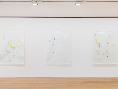 Guy Mees, Exhibition view. Courtesy of David Zwirner 