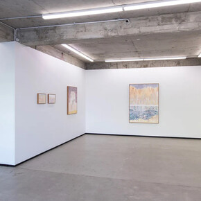 Alan Ibell, A ghost got in when I wasn't looking, exhibition view. Courtesy of Jhana Millers Gallery