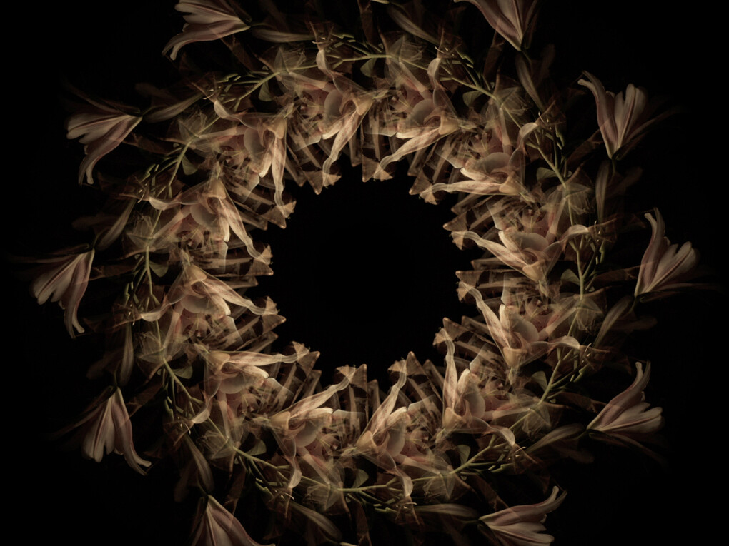 Doug Foster, Fortuna’s Wheel, 2015. Video installation.