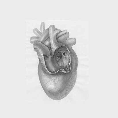 La tomografia coronarica computerizzata si conferma uno strumento rilevante per la diagnosi e la prevenzione delle patologie cardiovascolari