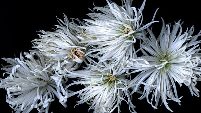 Katinka Matson. Courtesy of Eric Buterbaugh